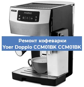 Замена прокладок на кофемашине Yoer Doppio CCM01BK CCM01BK в Красноярске